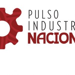 PULSO INDUSTRIAL